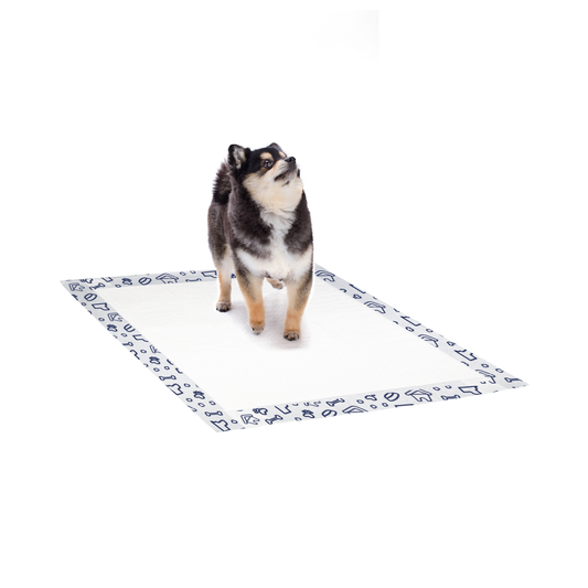 TAPETE HIGIENICO PARA CÃES - PETER PET NEUTRO 55cmx60cm 28und - Premium