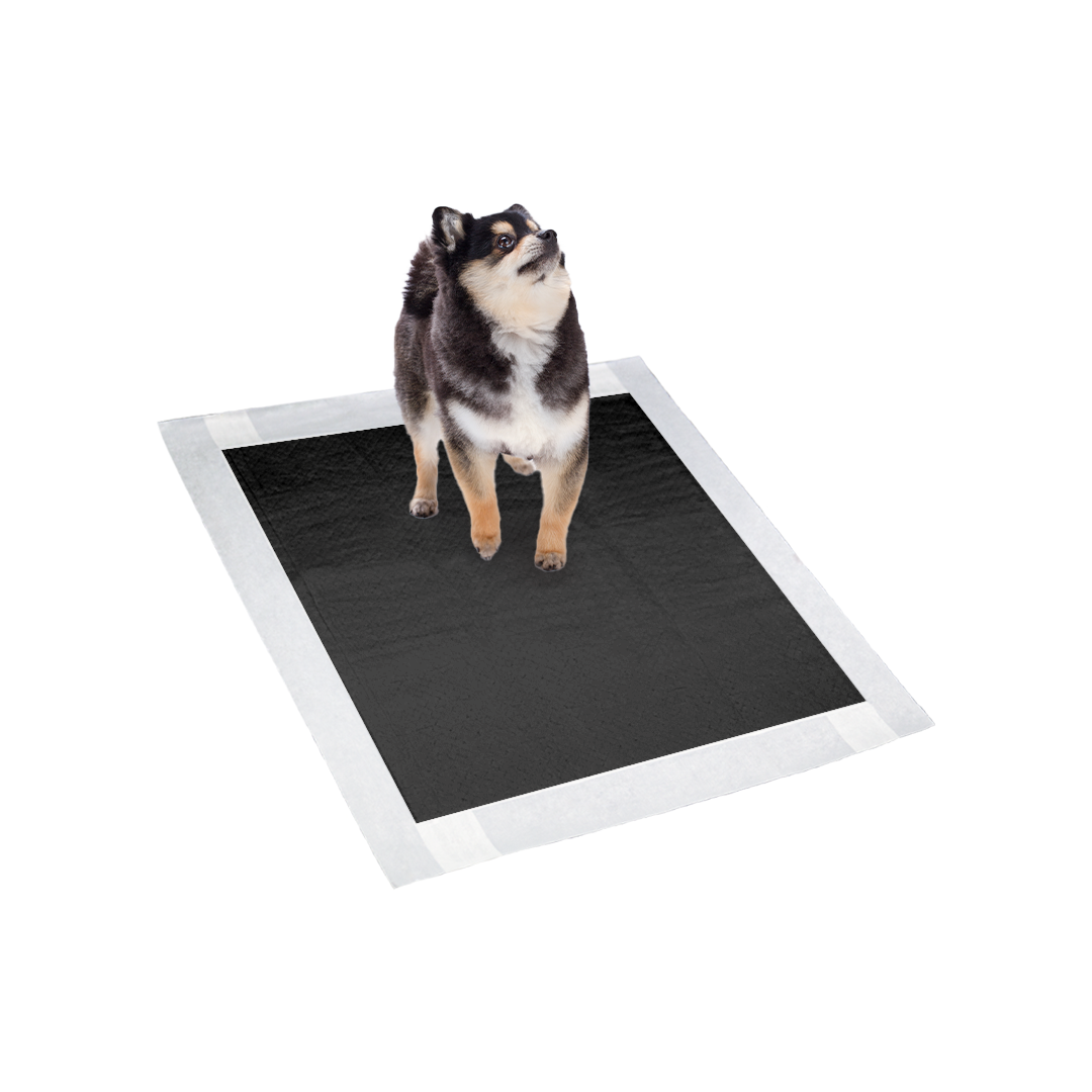 TAPETE HIGIENICO PARA CÃES - BENETTO CARVÃO ATIVADO 55cmx60cm 28und - Econômico